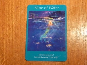 Nine of Water Tarot Card - Your Wish Comes True!
