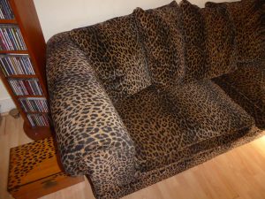 My Leopard Print Sofa and matching chest