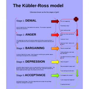 The Kubler Ross Grief Cycle