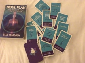 The 22 Soul Plan Cards.